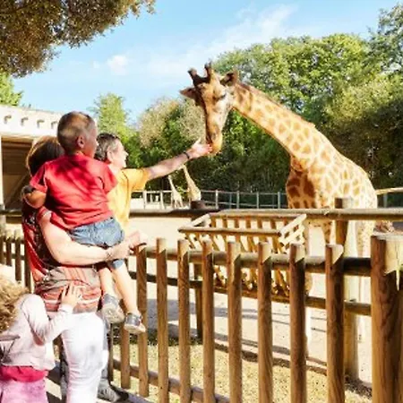 De Standing Face Au Sables-d'olonne - Fr-1-92-957 Les Sables-dʼOlonne