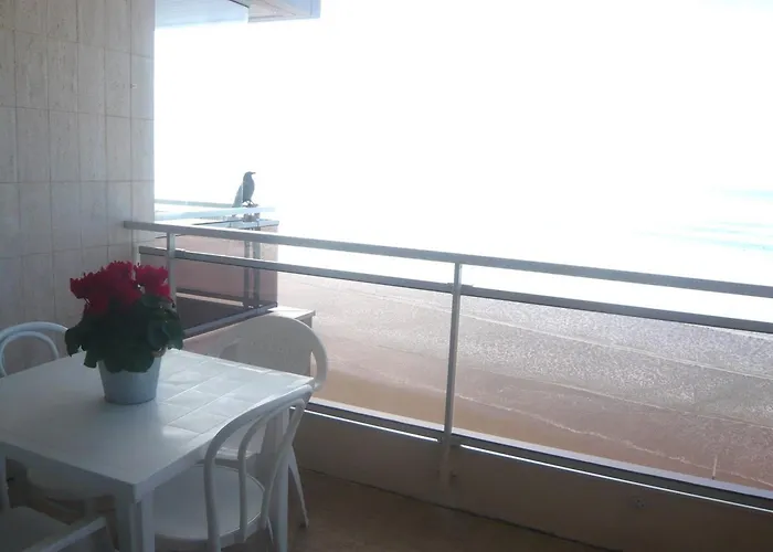 De Standing Face Au Sables-d'olonne - Fr-1-92-957 Appartement