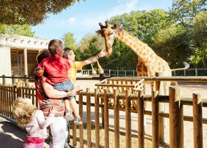 De Standing Face Au Sables-d'olonne - Fr-1-92-957 Les Sables-dʼOlonne